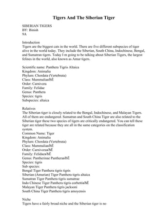 Tigers And The Siberian Tiger
SIBERIAN TIGERS
BY: Binish
9A
Introduction
Tigers are the biggest cats in the world. There are five different subspecies of tiger
alive in the world today. They include the Siberian, South China, Indochinese, Bengal,
and Sumatran tigers. Today I m going to be talking about Siberian Tigers, the largest
felines in the world, also known as Amur tigers.
Scientific name: Panthera Tigris Altaica
Kingdom: Animalia
Phylum: Chordata (Vertebrata)
Class: MammaliaвЂЁ
Order: Carnivora
Family: Felidae
Genus: Panthera
Species: tigris
Subspecies: altaica
Relatives
The Siberian tiger is closely related to the Bengal, Indochinese, and Malayan Tigers.
All of them are endangered. Sumatran and South China Tiger are also related to the
Siberian tiger these two species of tigers are critically endangered. You can tell these
tiger are related because they are all in the same categories on the classification
system.
Common Name: Tiger
Kingdom: Animalia
Phylum: Chordata (Vertebrata)
Class: MammaliaвЂЁ
Order: CarnivoraвЂЁ
Family: FelidaeвЂЁ
Genus: Pantherinae PantheraвЂЁ
Species: tigris
Sub species:
Bengal Tiger Panthera tigris tigris
Siberian (Amurian) Tiger Panthera tigris altaica
Sumatran Tiger Panthera tigris sumatrae
Indo Chinese Tiger Panthera tigris corbettiвЂЁ
Malayan Tiger Panthera tigris jacksoni
South China Tiger Panthera tigris amoyensis
Niche
Tigers have a fairly broad niche and the Siberian tiger is no
 