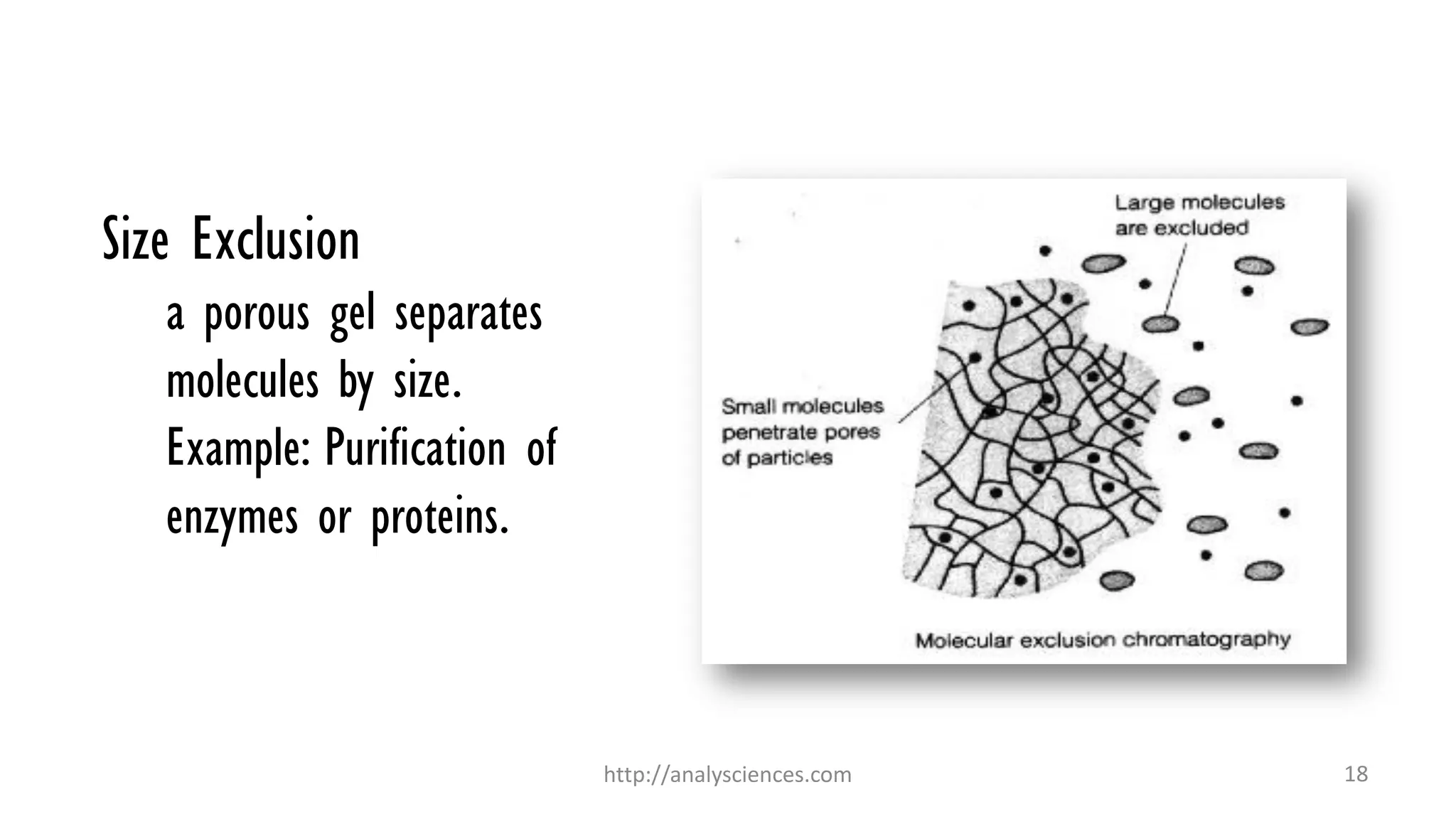 Size Exclusion
a porous gel separates
molecules by size.
Example: Purification of
enzymes or proteins.
http://analysciences.com 18
 