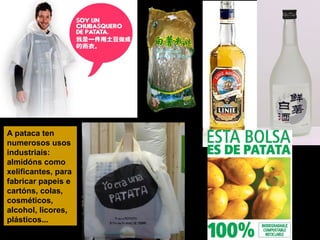 A pataca ten
numerosos usos
industriais:
almidóns como
xelificantes, para
fabricar papeis e
cartóns, colas,
cosméticos,
alcohol, licores,
plásticos...

 