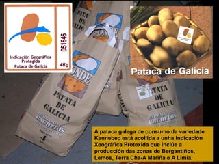 A pataca galega de consumo da variedade
Kennebec está acollida a unha Indicación
Xeográfica Protexida que inclúe a
producción das zonas de Bergantiños,
Lemos, Terra Cha-A Mariña e A Limia.

 