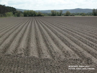 MONTAXE: Adela Leiro
FOTOS: Adela Leiro, Internet

 