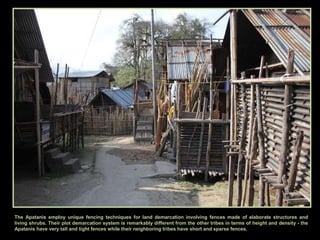 Apatani Tribe (India) | PPTX