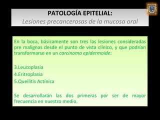 PATOLOGÍA EPITELIAL:
    Lesiones precancerosas de la mucosa oral

En la boca, básicamente son tres las lesiones consideradas
pre malignas desde el punto de vista clínico, y que podrían
transformarse en un carcinoma epidermoide:

3.Leucoplasia
4.Eritroplasia
5.Queilitis Actínica

Se desarrollarán las dos primeras por ser de mayor
frecuencia en nuestro medio.
 