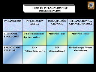 TIPOS DE INFLAMACION Y SU
                          DIFERENCIACION



PARÁMETROS     INFLAMACIÓN          INFLAMACIÓN       INFLAM. CRÓNICA
                  AGUDA               CRÓNICA         GRANULOMATOSA



TIEMPO DE    1º Síntoma hasta los   Mayor de 7 días     Mayor de 15 días
EVOLUCIÓN    4 primeros días



PREDOMINIO          PMN                MN             Histiocitos que forman
CELULAR      (Polimorfonucleares) (Mononucleares)          Granulomas
 