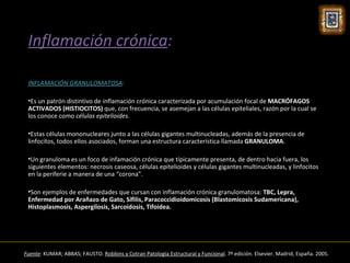 Inflamación crónica:

 INFLAMACIÓN GRANULOMATOSA:

 •Es un patrón distintivo de inflamación crónica caracterizada por acumulación focal de MACRÓFAGOS
 ACTIVADOS (HISTIOCITOS) que, con frecuencia, se asemejan a las células epiteliales, razón por la cual se
 los conoce como células epitelioides.

 •Estas células mononucleares junto a las células gigantes multinucleadas, además de la presencia de
 linfocitos, todos ellos asociados, forman una estructura característica llamada GRANULOMA.

 •Un granuloma es un foco de infamación crónica que típicamente presenta, de dentro hacia fuera, los
 siguientes elementos: necrosis caseosa, células epitelioides y células gigantes multinucleadas, y linfocitos
 en la periferie a manera de una “corona”.

 •Son ejemplos de enfermedades que cursan con inflamación crónica granulomatosa: TBC, Lepra,
 Enfermedad por Arañazo de Gato, Sífilis, Paracoccidioidomicosis (Blastomicosis Sudamericana),
 Histoplasmosis, Aspergilosis, Sarcoidosis, Tifoidea.




Fuente: KUMAR; ABBAS; FAUSTO. Robbins y Cotran Patología Estructural y Funcional. 7º edición. Elsevier. Madrid, España. 2005.
 