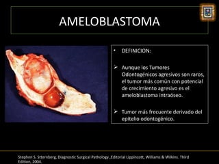 AMELOBLASTOMA
                                                        •    DEFINICION:

                                                         Aunque los Tumores
                                                          Odontogénicos agresivos son raros,
                                                          el tumor más común con potencial
                                                          de crecimiento agresivo es el
                                                          ameloblastoma intraóseo.

                                                         Tumor más frecuente derivado del
                                                          epitelio odontogénico.




Stephen S. Stternberg, Diagnostic Surgical Pathology.,Editorial Lippincott, Williams & Wilkins. Third
Edition, 2004.
 