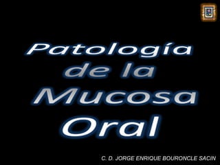 C. D. JORGE ENRIQUE BOURONCLE SACIN
 