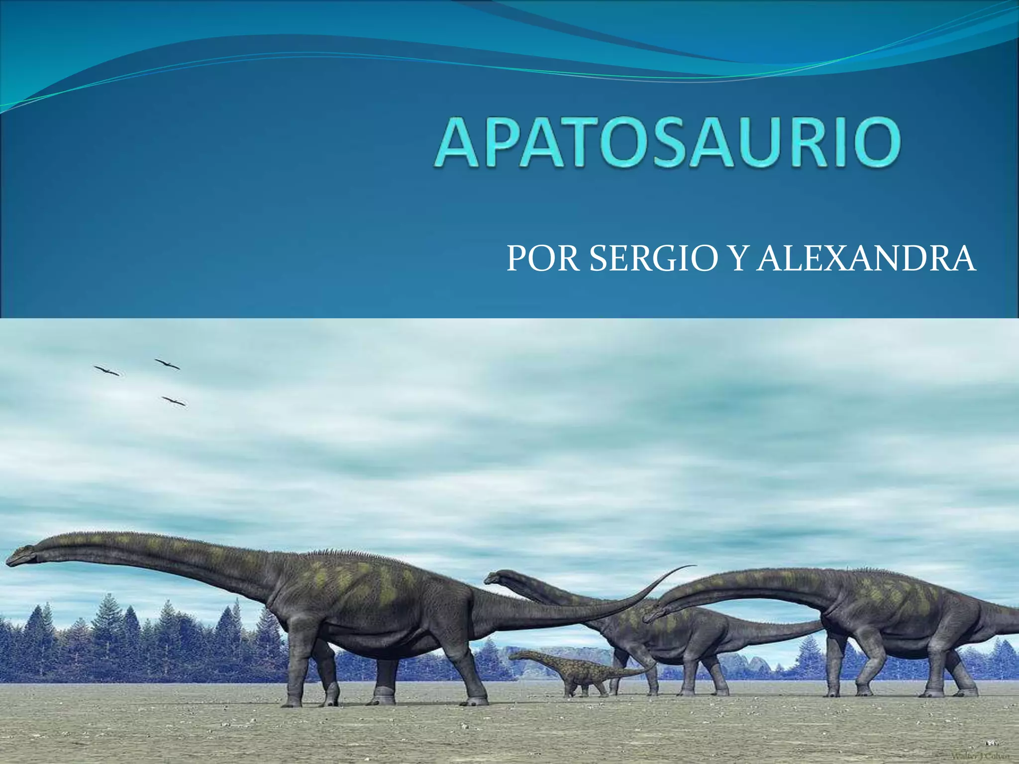 POR SERGIO Y ALEXANDRA