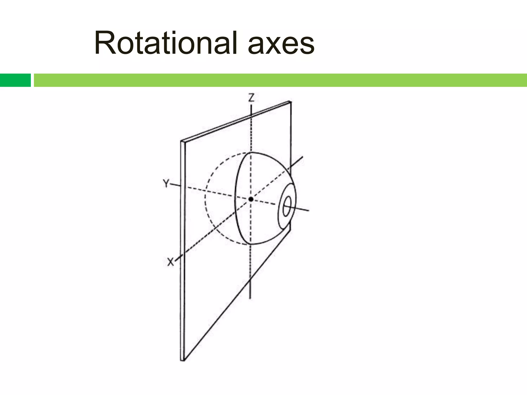 Rotational axes
 