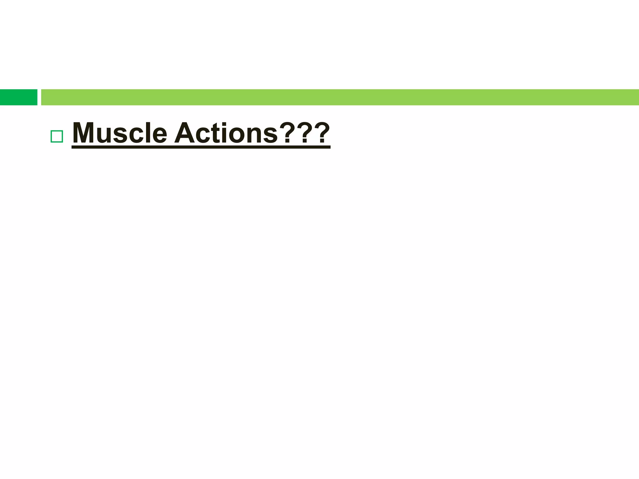    Muscle Actions???
 