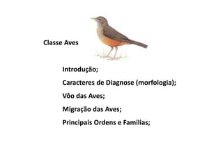 Classe Aves


     Introdução;
     Caracteres de Diagnose (morfologia);
     Vôo das Aves;
     Migração das Aves;
     Principais Ordens e Familias;
 
