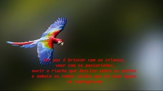 Ter paz é brincar com as criança,
voar com os passarinhos,
ouvir o riacho que desliza sobre as pedras
e embala os ramos verdes que em suas águas
se espreguiçam.
 