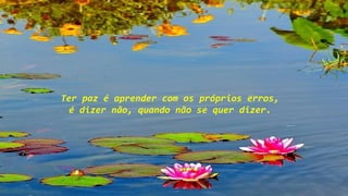 Ter paz é aprender com os próprios erros,
é dizer não, quando não se quer dizer.
 