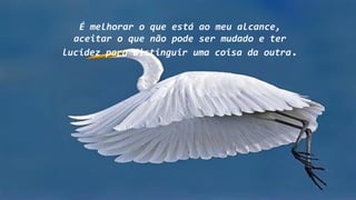 É melhorar o que está ao meu alcance,
aceitar o que não pode ser mudado e ter
lucidez para distinguir uma coisa da outra.
 