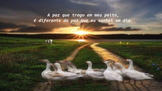 A paz que trago em meu peito,
é diferente da paz que eu sonhei um dia.
 