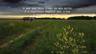 A paz que hoje trago em meu peito
é a confiança NAQUELE que criou
e governa o mundo...
 
