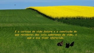 É a certeza da vida futura e a convicção de
que receberei das leis soberanas da vida, o
que a ela tiver oferecido.
 