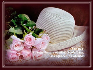 Ter paz  é respeitar as opiniões contrárias,  é esquecer as ofensas. 