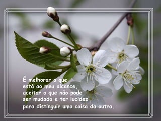 É melhorar o que  está ao meu alcance,  aceitar o que não pode  ser mudado e ter lucidez  para distinguir uma coisa da outra.   
