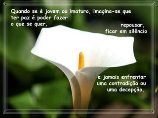 Quando se é jovem ou imaturo, imagina-se que ter paz é poder fazer  o que se quer,  e jamais enfrentar  uma contradição ou uma decepção.   repousar,  ficar em silêncio 