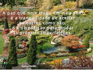 A paz que hoje trago em meu peito é a tranqüilidade de aceitar  os outros como são,  e a disposição para mudar  as próprias imperfeições.  