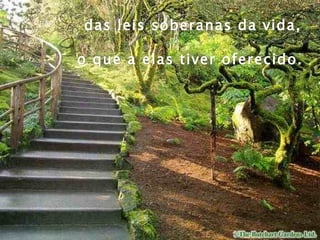 das leis soberanas da vida,  o que a elas tiver oferecido.   