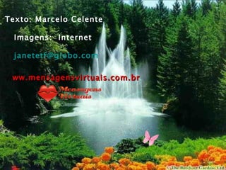 Texto: Marcelo Celente  Imagens:  Internet [email_address] w ww.mensagensvirtuais.com.br 