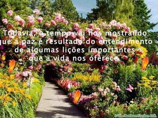 Todavia, o tempo vai nos mostrando  que a paz é resultado do entendimento  de algumas lições importantes  que a vida nos oferece.  
