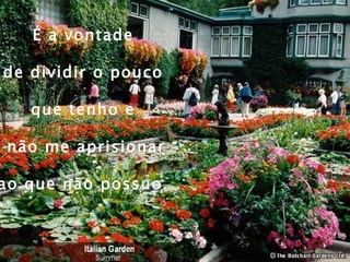 É a vontade  de dividir o pouco  que tenho e  não me aprisionar ao que não possuo.  