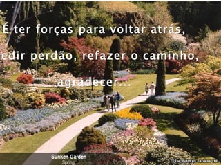 É ter forças para voltar atrás,

pedir perdão, refazer o caminho,

          agradecer...
 