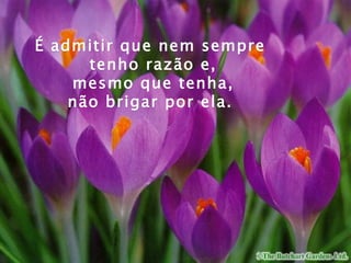 É admitir que nem sempre
      tenho razão e,
    mesmo que tenha,
    não brigar por ela.
 