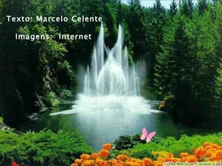 Texto: Marcelo Celente

  Imagens: Internet
 
