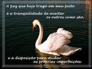 A paz que hoje trago em meu peito
é a tranqüilidade de aceitar
os outros como são,
e a disposição para mudar
as próprias imperfeições.
 