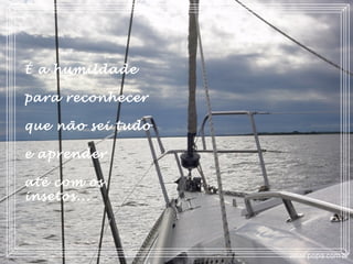 É a humildade
para reconhecer
que não sei tudo
e aprender
até com os
insetos...
 