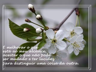 É melhorar o que
está ao meu alcance,
aceitar o que não pode
ser mudado e ter lucidez
para distinguir uma coisa da outra.
 