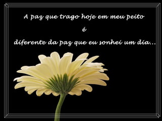 A paz que trago hoje em meu peito
é
diferente da paz que eu sonhei um dia...
 