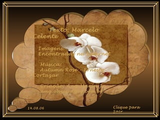 Texto: Marcelo
Celente
Imagens:
Encontradas na Internet
Música:
Autumn Rose - Ernesto
Cortazar
Criação: Ana Maria Jr.
amg.oliveira@ig.com.br
Texto: Marcelo
Celente
Imagens:
Encontradas na Internet
Música:
Autumn Rose - Ernesto
Cortazar
Criação: Ana Maria Jr.
amg.oliveira@ig.com.br
14.08.06 Clique para
Sair
 