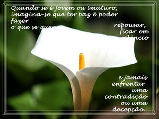 Quando se é jovem ou imaturo,
imagina-se que ter paz é poder
fazer
o que se quer,
e jamais
enfrentar
uma
contradição
ou uma
decepção.
repousar,
ficar em
silêncio
 