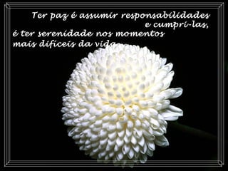 Ter paz é assumir responsabilidades
e cumpri-las,
é ter serenidade nos momentos
mais difíceis da vida.
 