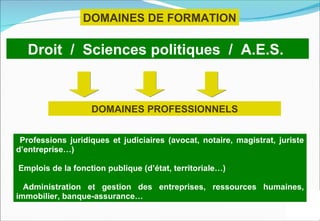 DOMAINES DE FORMATION

   Droit / Sciences politiques / A.E.S.


                   DOMAINES PROFESSIONNELS


 Professions juridiques et judiciaires (avocat, notaire, magistrat, juriste
d’entreprise…)

Emplois de la fonction publique (d’état, territoriale…)

  Administration et gestion des entreprises, ressources humaines,
immobilier, banque-assurance…
 