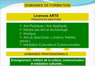 DOMAINES DE FORMATION


                Licences ARTS
              PRINCIPALES MENTIONS

        Arts Plastiques / Arts Appliqués
        Histoire des Arts et Archéologie
        Musique
        Arts du Spectacle ( cinéma, théâtre,
     danse )
      Médiation Culturelle et Communication


         DOMAINES PROFESSIONNELS

Enseignement, métiers de la culture, communication
            et médiation culturelle…
 