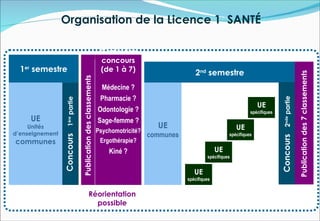Organisation de la Licence 1 SANTÉ

                                                                       Choix des
                                                                       concours
  1er semestre                                                         (de 1 à 7)                    2nd semestre




                                                                                                                                                                    Publication des 7 classements
                                        Publication des classements    Médecine ?
                                                                       Pharmacie ?




                                                                                                                                             Concours 2nde partie
                 Concours 1ère partie



                                                                                                                                   UE
                                                                      Odontologie ?                                            spécifiques
     UE                                                               Sage-femme ?
     Unités                                                                             UE                               UE
d’enseignement                                                        Psychomotricité?
                                                                                       communes                      spécifiques
communes                                                               Ergothérapie?
                                                                          Kiné ?                                UE
                                                                                                           spécifiques


                                                                                                     UE
                                                                                                  spécifiques


                                                       Réorientation
                                                         possible
 