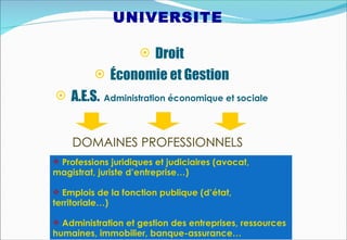 UNIVERSITE

                      Droit
           Économie et Gestion
 A.E.S.    Administration économique et sociale




    DOMAINES PROFESSIONNELS
 Professions juridiques et judiciaires (avocat,
magistrat, juriste d’entreprise…)

 Emplois de la fonction publique (d’état,
territoriale…)

 Administration et gestion des entreprises, ressources
humaines, immobilier, banque-assurance…
 