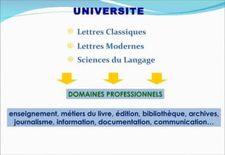 UNIVERSITE

                  Lettres Classiques

                  Lettres Modernes
                  Sciences du Langage




                  DOMAINES PROFESSIONNELS

enseignement, métiers du livre, édition, bibliothèque, archives,
 journalisme, information, documentation, communication…
 