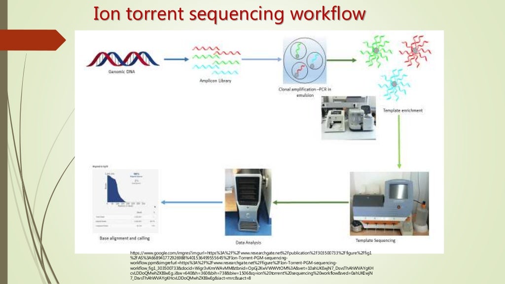 Ion Torrent Sequencing - Ion Semiconductor Sequencing Patent Application