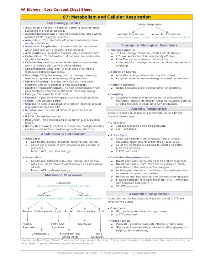 cheat sheet metabolism biology review sheet
