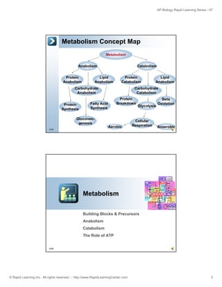 Metabolism & Cellular Respiration | PDF