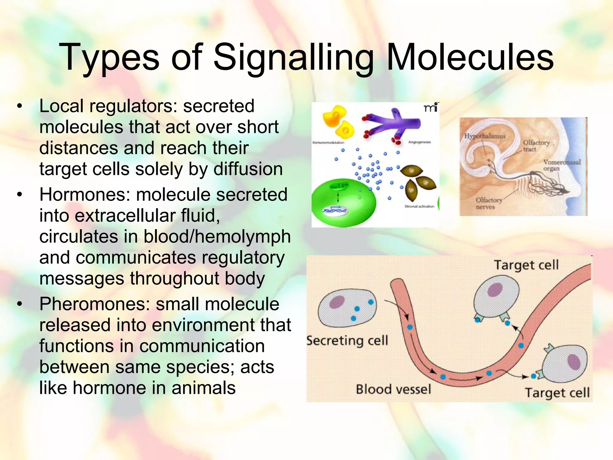 Chapter 45 ppt | PPT