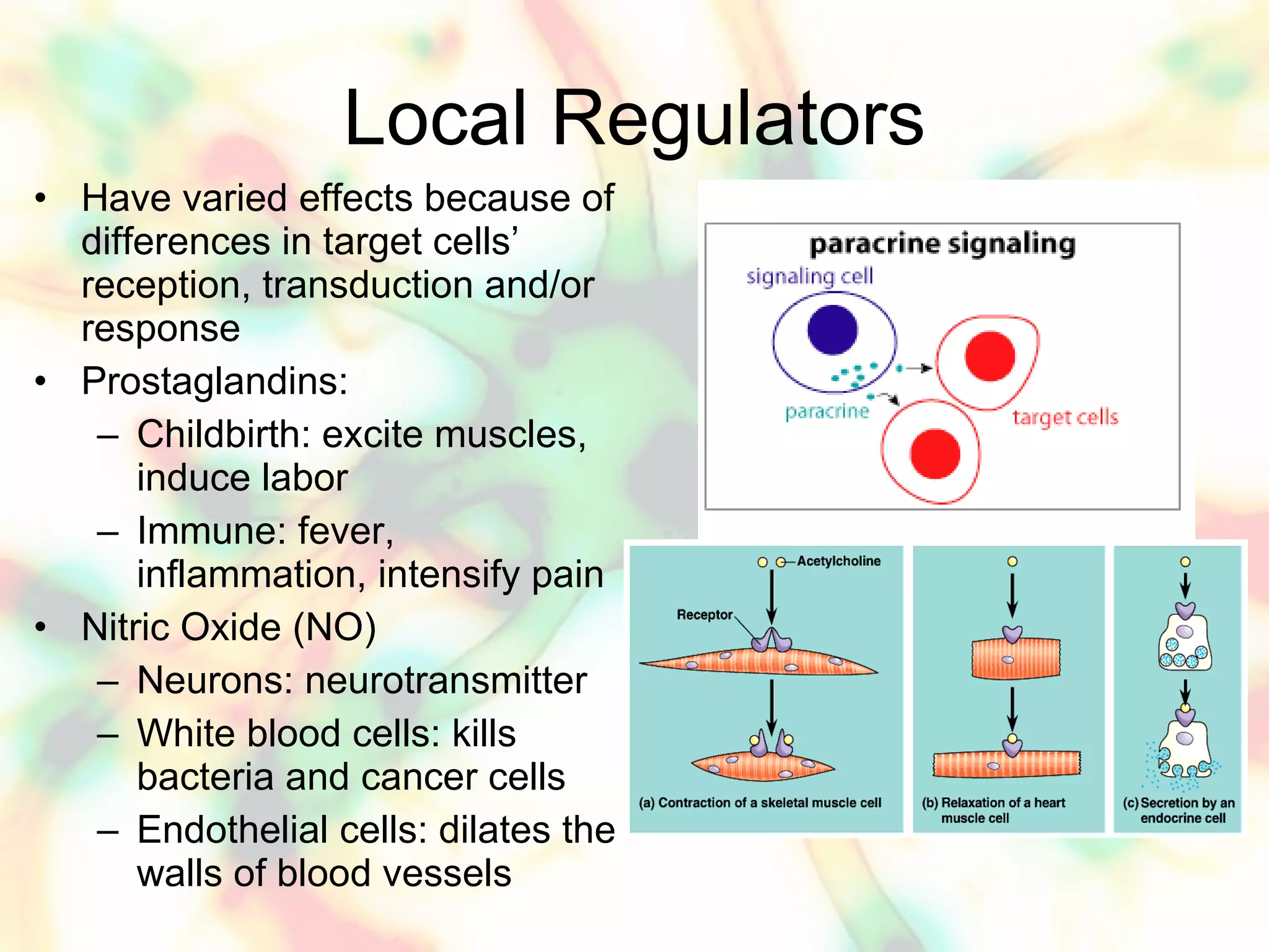 Chapter 45 ppt | PPT