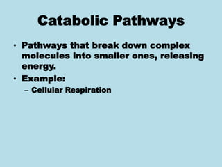 Catabolic Pathways
• Pathways that break down complex
molecules into smaller ones, releasing
energy.
• Example:
– Cellular Respiration
 